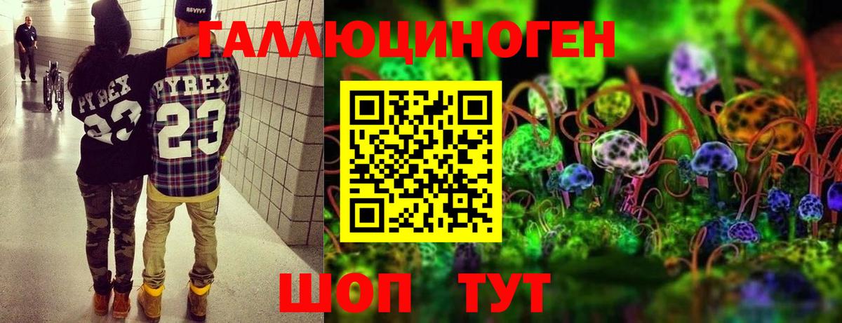 Галлюциногенные грибы Cubensis Городец