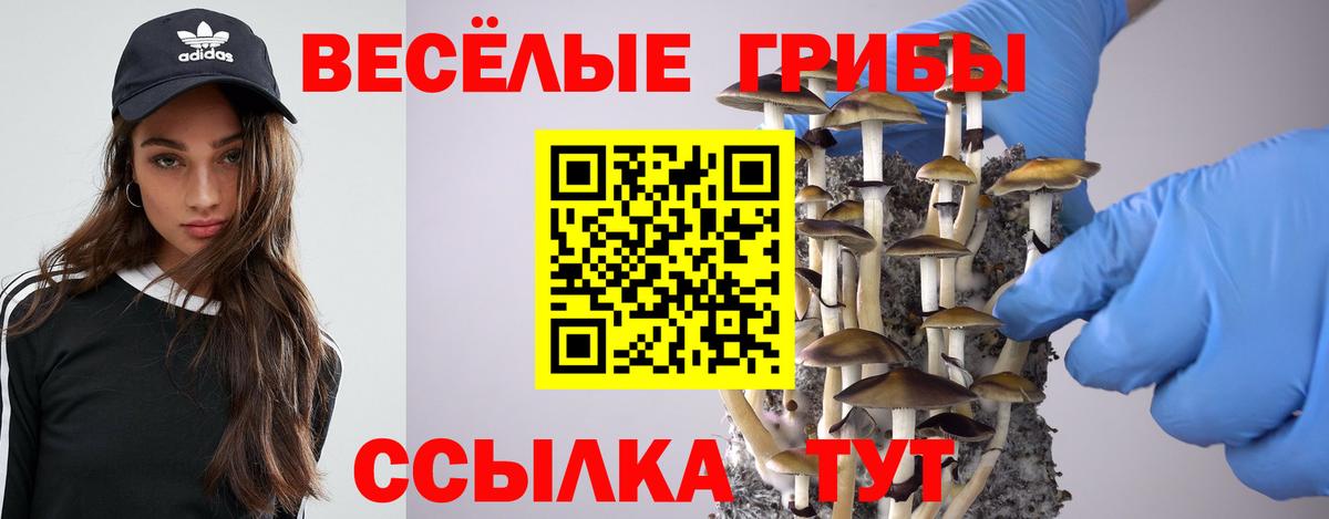 Псилоцибиновые грибы Magic Shrooms  Вход с VPN  Городец 
